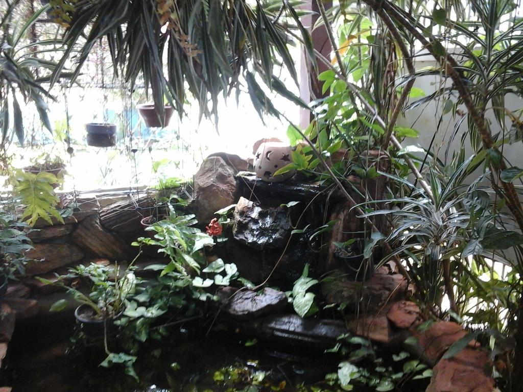 مبيت وإفطار برازيليا Kzazendf Cama E Cafe Asa Sul المظهر الخارجي الصورة